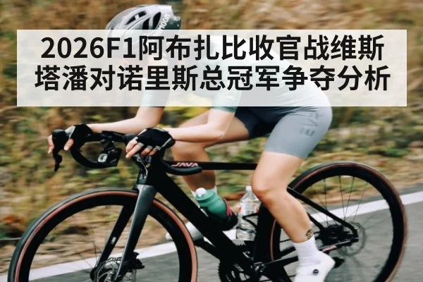 2026F1阿布扎比收官战维斯塔潘对诺里斯总冠军争夺分析
